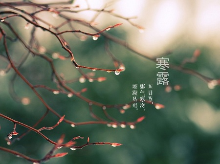 &#75;&#97;&#105;&#121;&#117;&#110;&#45;&#20013;&#22269;&#65288;&#23448;&#26041;&#32593;&#31449;&#65289;&#45;&#22269;&#23478;&#35748;&#35777;&#26381;&#21153;&#24179;&#21488;
