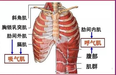 &#75;&#97;&#105;&#121;&#117;&#110;&#45;&#20013;&#22269;&#65288;&#23448;&#26041;&#32593;&#31449;&#65289;&#45;&#22269;&#23478;&#35748;&#35777;&#26381;&#21153;&#24179;&#21488;