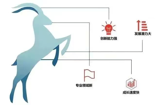 &#75;&#97;&#105;&#121;&#117;&#110;&#45;&#20013;&#22269;&#65288;&#23448;&#26041;&#32593;&#31449;&#65289;&#45;&#22269;&#23478;&#35748;&#35777;&#26381;&#21153;&#24179;&#21488;