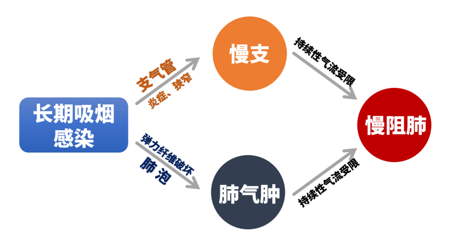 &#75;&#97;&#105;&#121;&#117;&#110;&#45;&#20013;&#22269;&#65288;&#23448;&#26041;&#32593;&#31449;&#65289;&#45;&#22269;&#23478;&#35748;&#35777;&#26381;&#21153;&#24179;&#21488;